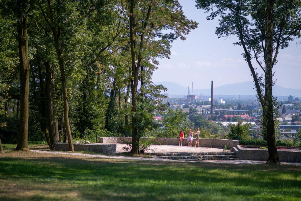 Vila Na Landeku Острава Екстериор снимка
